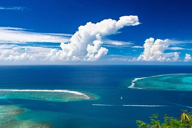 Ocean